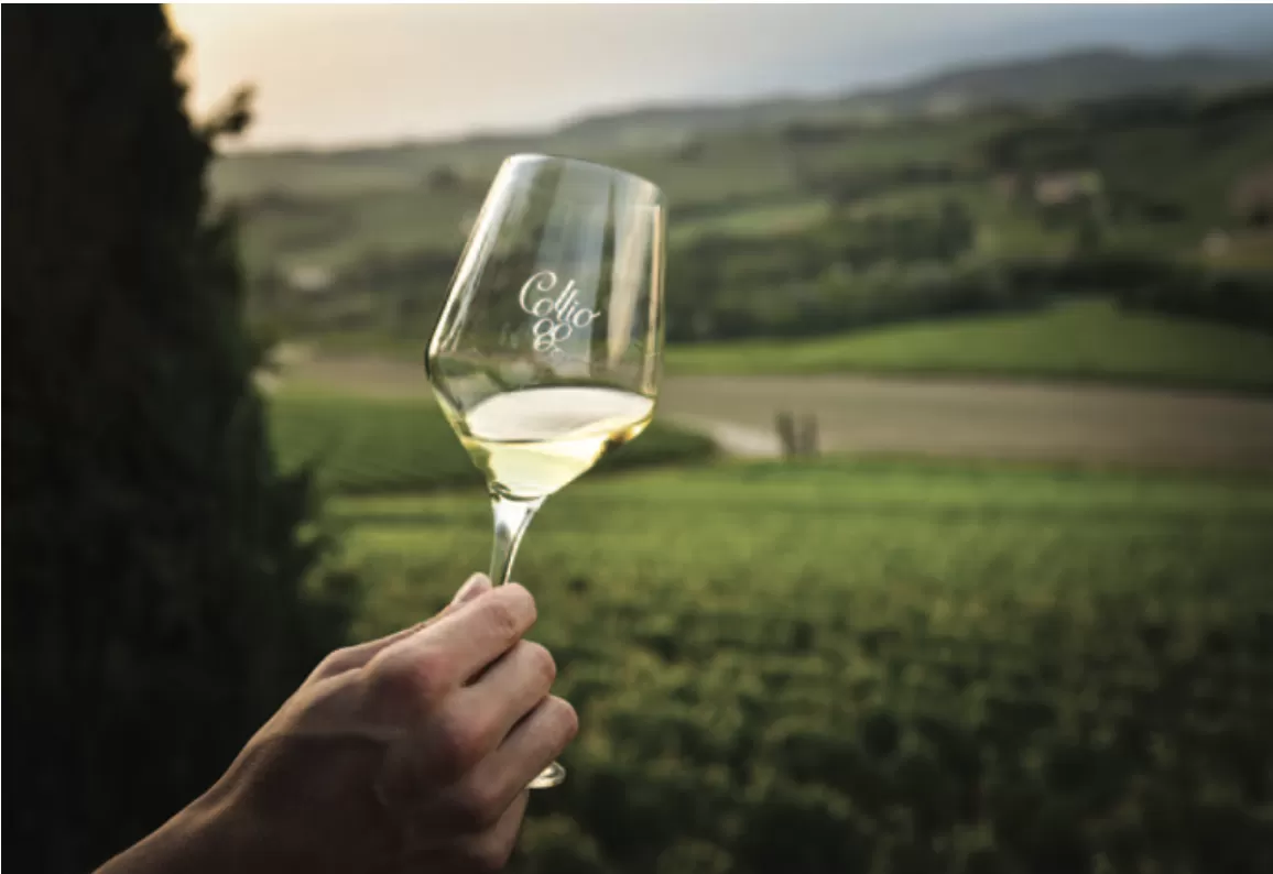 Collio, culla dei vini bianchi d’Italia