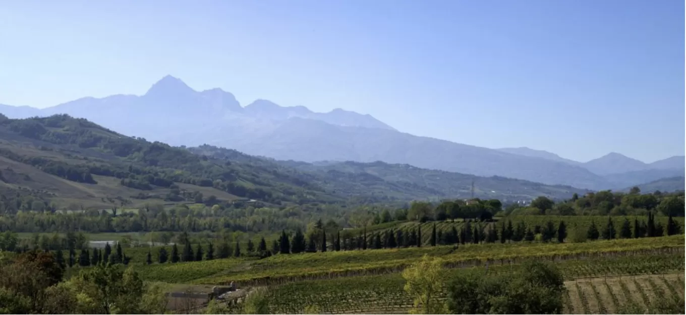 Abruzzo. Spizzichi d’eccellenza enoica