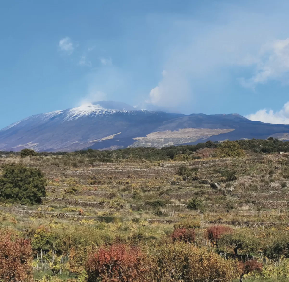 埃特纳火山日: 火山脚下的情感