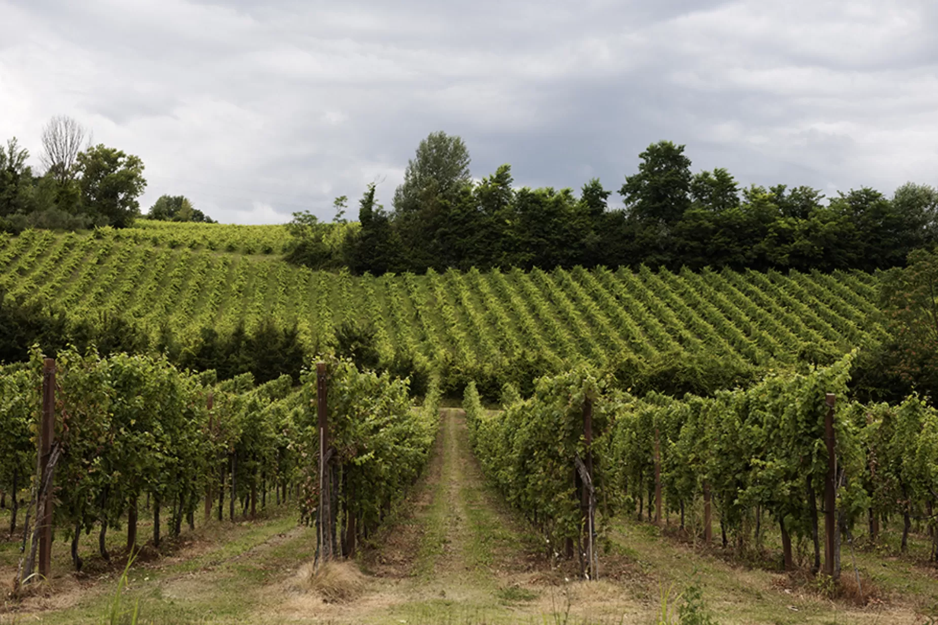 Cosa succede nelle terre di Romagna